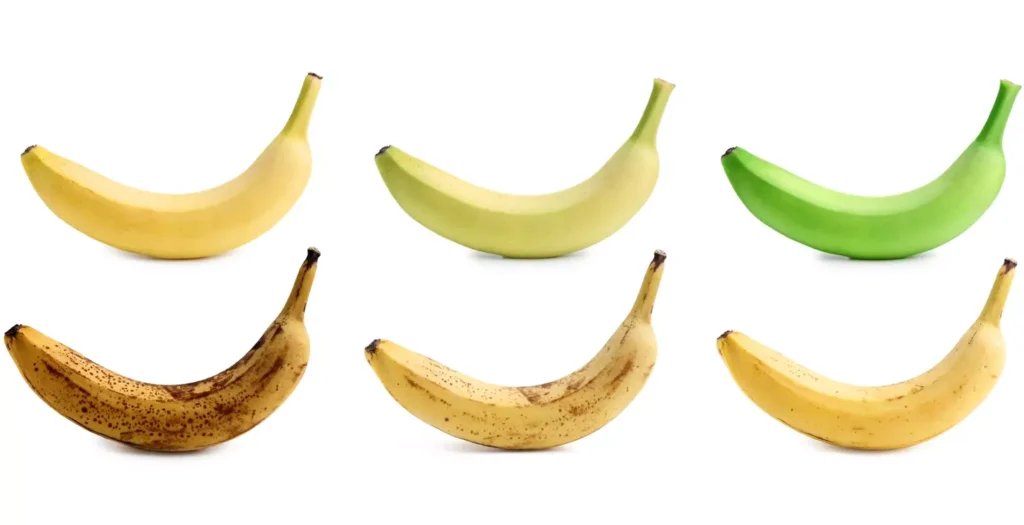Différents stades de maturité d'une banane Différents stades de maturité d'une banane