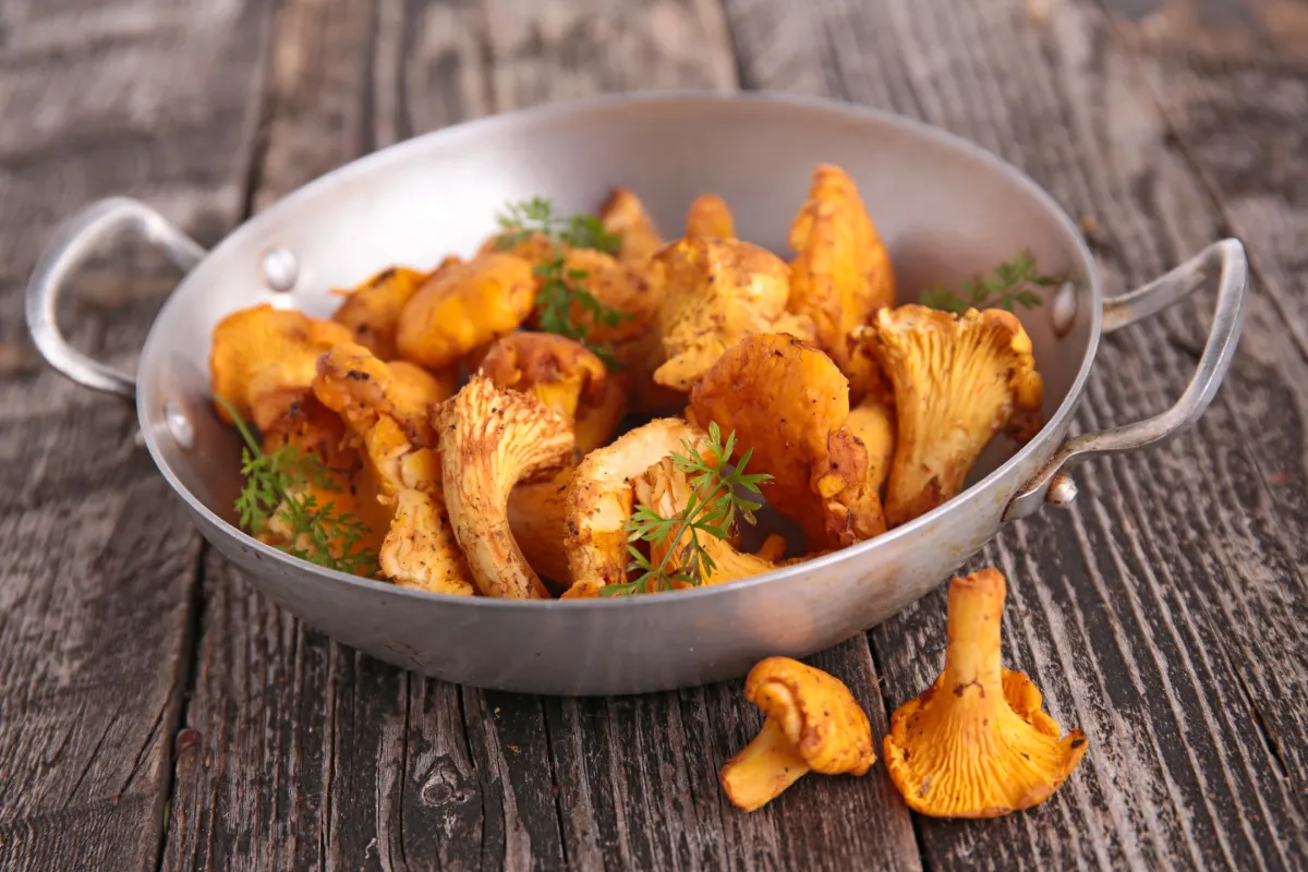 5 idées gourmandes avec des chanterelles : crème, pâtes, poêlée
