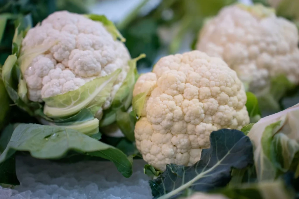 gratin de chou fleur