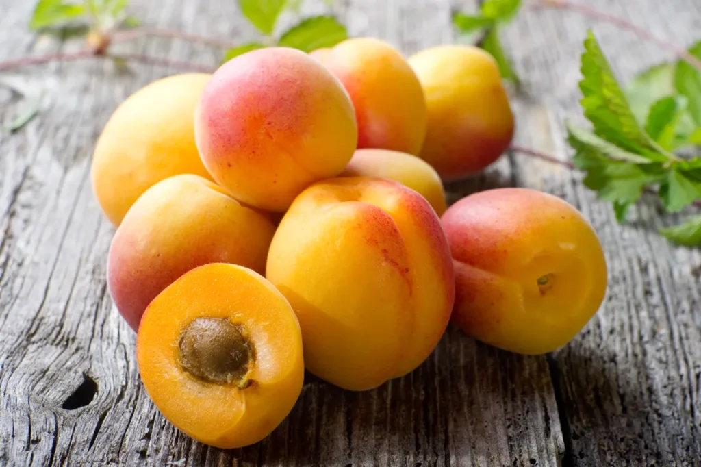 préparation abricots