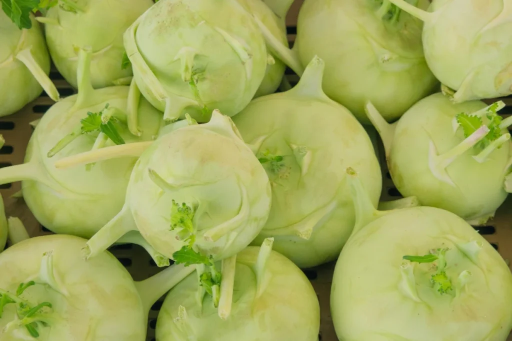 chou rave cru chou rave cru